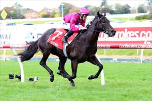 Big plans for impressive debutante winner